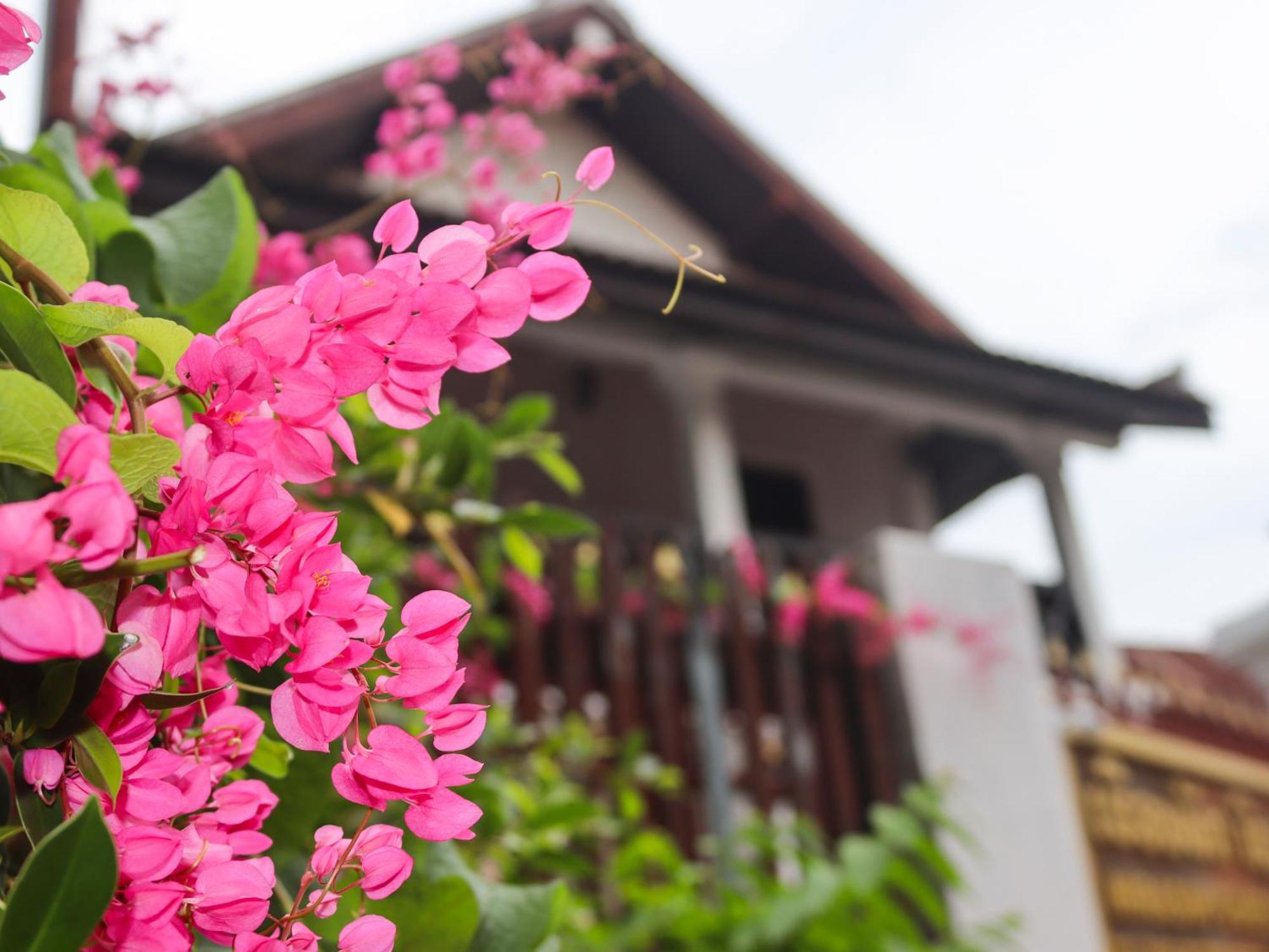 Nirasim Villa Luang Prabang Zewnętrze zdjęcie